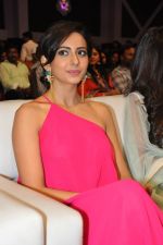 Rakul Preet Singh at Pandaga Chesko Audio Launch on 1st May 2015